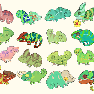 Chameleon Forum Chams
