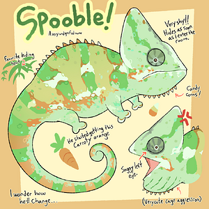 Juvenile Spooble Observations