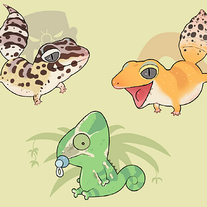 My Lizards