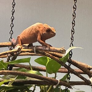 IMG_3589.jpeg