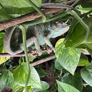 IMG_1298.jpeg
