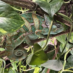 IMG_1392.jpeg