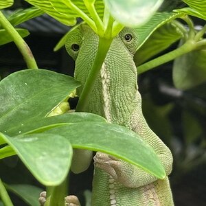 What you lookin at?