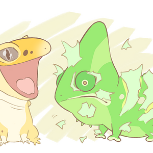 Shedding