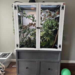 Enclosure