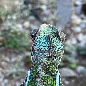 IMG_7274.jpeg