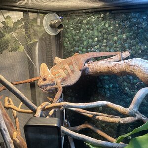 Just a warm pancake!