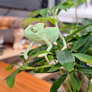 Sometimes big adventures start small