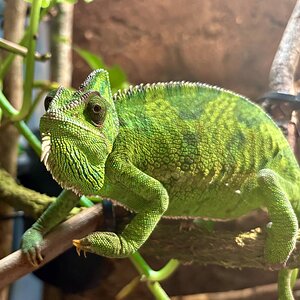 Stella has still got it! 🩷