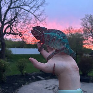 Grumpy boy at sunset