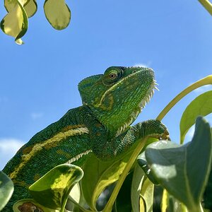 IMG_6424.jpeg
