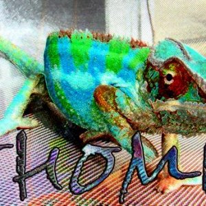 Photoshop'd whomi