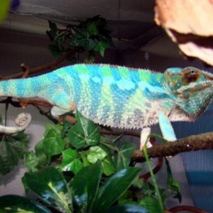 DSC04909
