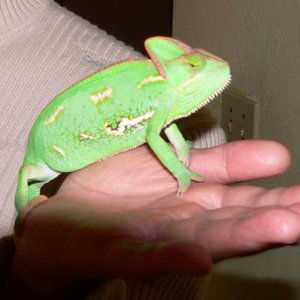My bro holding her