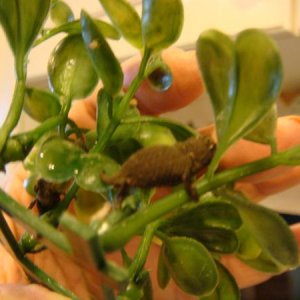 more babies