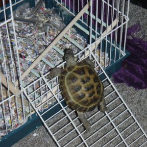 Speedy up to no good again!!!!