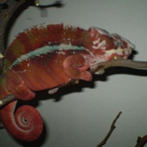 6-26-2010
