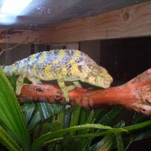 New Tenant 6 20 10