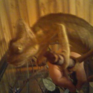 my little man :p