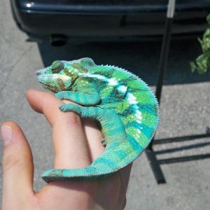 catching some rays