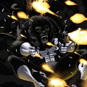 punisher monkey!