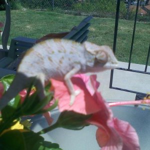 just chillin in the sun