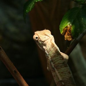 spike3