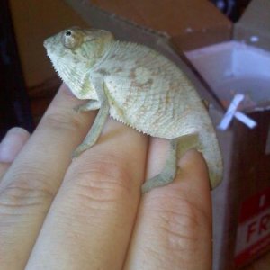 Arrived July 14th, 2010 :)
