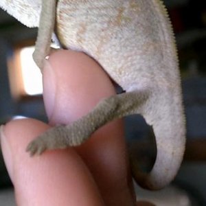 He is a boy, right?!