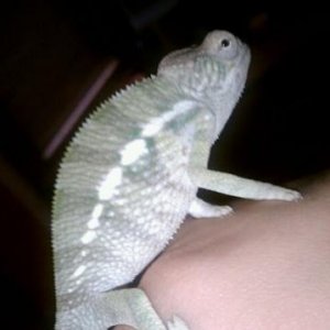 August 21, 2010 - 5 months old