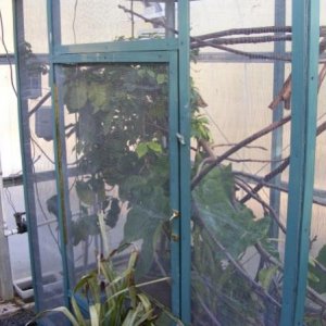 Parsons Enclosure