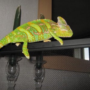 IMG 0715