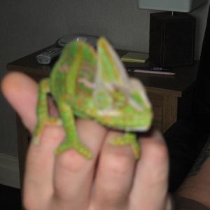 IMG 0714