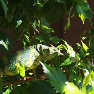 Sunning 10-29-10