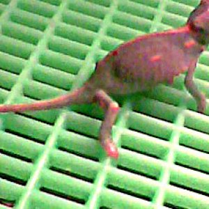 Image0054 edited