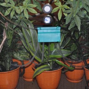 From the back of the cage you can see how this setup allows us to route water to each of the plant pots in the cage if needed.  I later added flat, wo