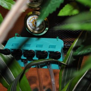 Water collected from the dripper via the funnel is routed to the 5-way gange valve which allows us to control water flow to the plants as needed.