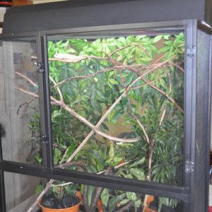 Rico's setup from the front.  We've actually added several more brances and some fake ivy wrapped around several of the branches since this picture to