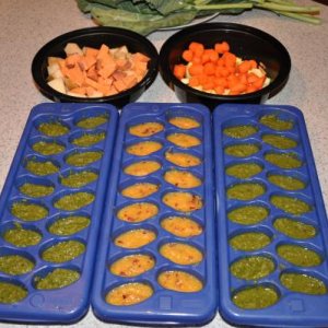 Veggie and fruit gutload mixes in ice cube trays which will be frozen and dethawed as needed.