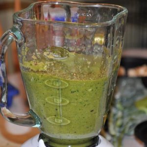 Blended vegetable gutload.