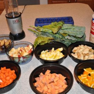Gutload vegetables and fruits include carrots, squash, collard greens, cale, potatoes, sweet potatoes, apples, oranges and also some oats.