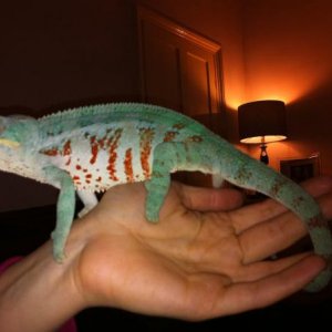 jonjo 14 months