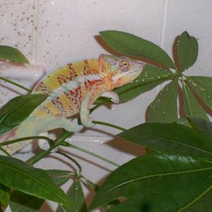 Havin a shower
