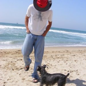 dog beach