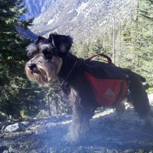 hiking