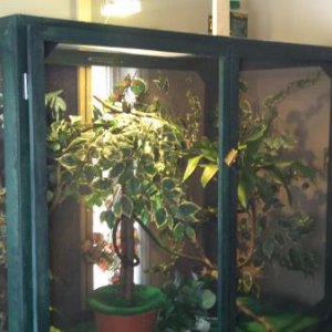 My home made cage