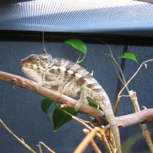 Nosy Be- 3 months