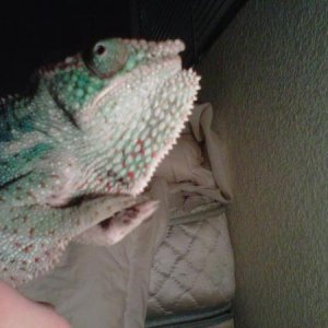 At about 7 months.
