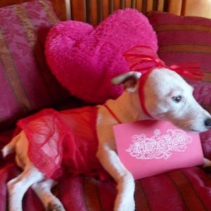 Lucky Valentine 2 14 11 016