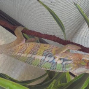 2011 03 12 15 02 55 792